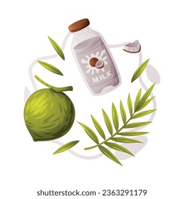 Coconut Product as Tropical Fruit and Organic Food Ingredient Vector Composition
