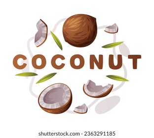 Coconut Product as Tropical Fruit and Organic Food Ingredient Vector Composition