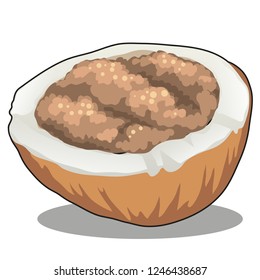 Coconut products isolated on white background. Vector cartoon close-up illustration.