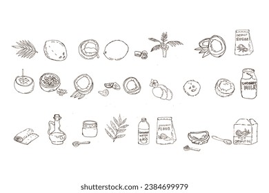 coconut and products from coconut - outline set