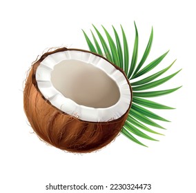 Coconut realistic composition with ripe exotic fruit part isolated on blank background vector illustration