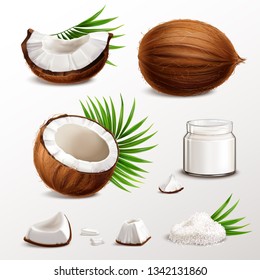 Coconut realistic set with nut segments  flesh pieces jar milk powder dry flakes palm leaves vector illustration