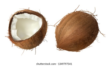 Coconut realistic vector illustration, whole and half cracked broken coco nut, isolated on white background. Set for advertising or packaging design natural food and organic cosmetics.