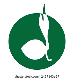 Coconut seeds icon vector illustration design
