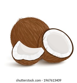 Coconut. Set of exotic whole, half, cut pieces of coconut fruit isolated on white background. Summer fruits for a healthy lifestyle. Organic fruits. Cartoon style. Vector illustration for any design