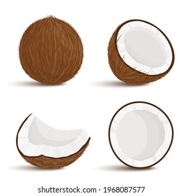 Coconut. Set of exotic whole, half, cut pieces of coconut fruit isolated on white background. Summer fruits for a healthy lifestyle. Organic fruits. Cartoon style. Vector illustration for any design