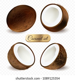 Coconut set isolated on white background. Realistic cartoon style.  Vector illustration.