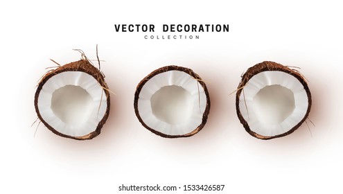 Conjunto de cocos de la mitad realista. Cocos aislados de fondo blanco. Ilustración del vector