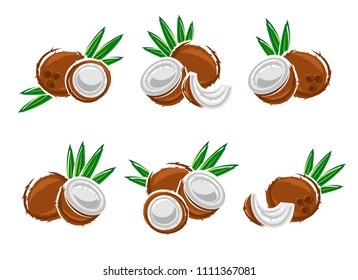 Coconut set. Vector
