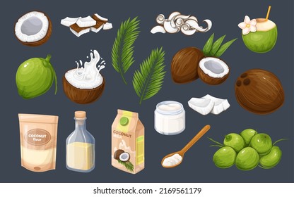 Coconut set vector illustration. Cartoon isolated whole coconuts pile and fruit cut in half with splash of fresh juice, slices and sections, tropical coco palm leaf, milk and oil grocery products svg