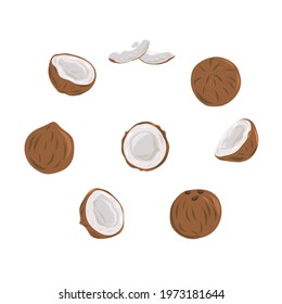 Coconut set - whole nut coconut segment and coconut pulp. Half tropical fruit. Vector illustration.