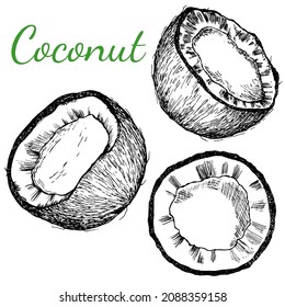 Coco. Establecer. Todo y rebanada. Imagen vectorial aislada. Ilustración del fruto del coco en el blanco negro. Para etiquetas, diseño de envases de productos cosméticos, sanitarios y médicos