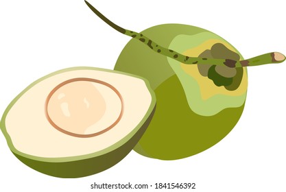 Coconut shape for branding or logo.