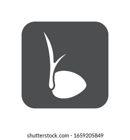 el coco muestra el diseño de iconos vectoriales 