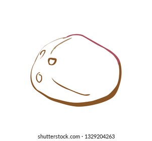 coconut sign sketch  design