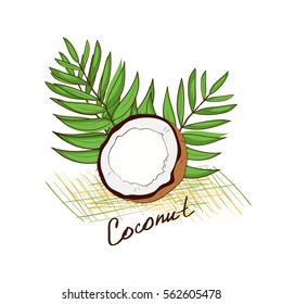 Coconut. Sketch doodle. On a white background.