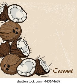 Coconut sketch in retro stile on vintage background. For design