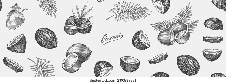 Coconut sketch. Tropical food and palm leaf. Retro ink style. Hand drawn vector illustration for market, menu, label. Organic product in ink and grunge style. 