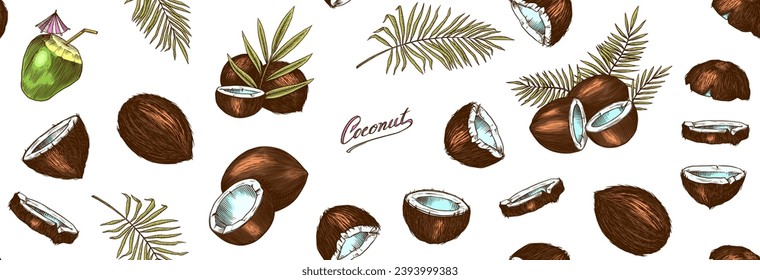 Coconut sketch. Tropical food and palm leaf. Retro ink style. Hand drawn vector illustration for market, menu, label. Organic product in ink and grunge style. 