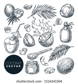 Coconut sketch vector illustration. Broken coco nuts with milk splashes, butter, oil and palm leaves. Hand drawn isolated design elements. Food vegetarian organic products.