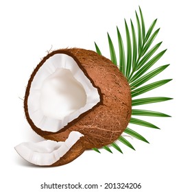 Coconut and slice of coconut with leaves. Vector illustration.