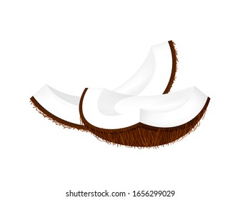 coconut slice part freshness, coconut brown fruit half cut isolated on white, illustration coconut half slice for clip art, coconut fruit simple for icon, vector