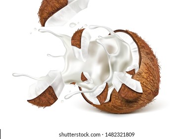 Coconut slice of pieces and milk splashing isolated on white background. Realistic vector in 3D illustration.