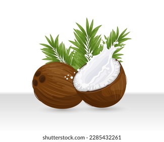 Coconut and sliced coconut with a splash of milk on a white background with palm leaves. Illustration, vector