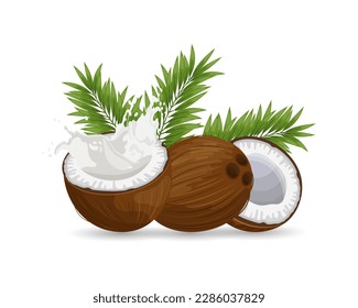 Coconut and sliced coconut with a splash of milk on a white background with palm leaves. Illustration, vector