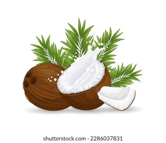 Coconut and sliced coconut with a splash of milk on a white background with palm leaves. Illustration, vector