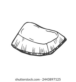 Coconut Slices outline icon vector illustration. Hand drawn black line pieces of organic coconut, two segments of coco fruit and superfood