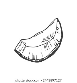 Coconut Slices outline icon vector illustration. Hand drawn black line pieces of organic coconut, two segments of coco fruit and superfood