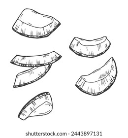 Coconut Slices outline icon vector illustration. Hand drawn black line pieces of organic coconut, two segments of coco fruit and superfood