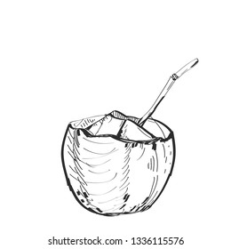 coconut with a straw sketch, black contour isolated on white background. simple art, Can be used for Card banner template, copy space. Vector
