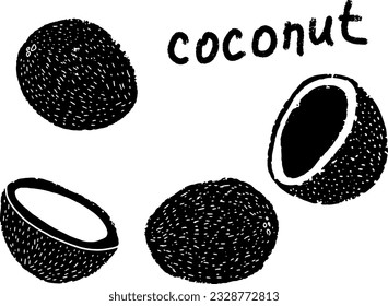 Coconut stylized exotic fruit. Hand-drawn illustration in linocut style. Black vector element for design