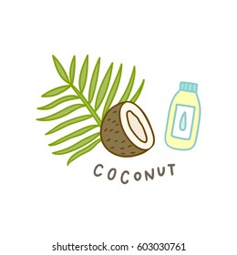 Coconut superfood. Vector hand drawn illustration