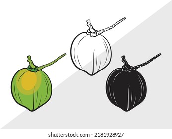 Coconut SVG Printable Vector Illustration