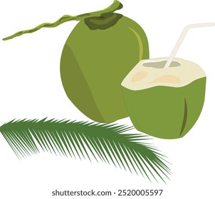 COCO TIERNO PNG CON HOJA SIN FONDO 