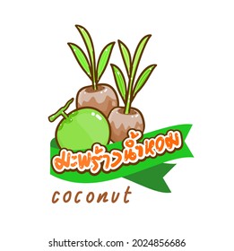 Coconut in Thai Language it mean “coconut”