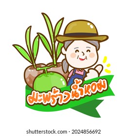 Coconut in Thai Language it mean “coconut”