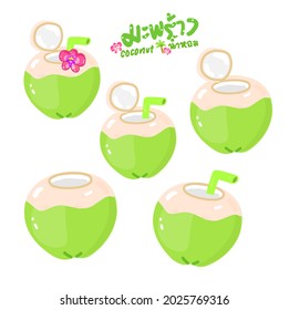 Coconut in Thai Language it mean “coconut”