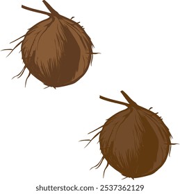 É um coco que age como soro fisiológico quando ingerido cru e é mais saboroso quando maduro.