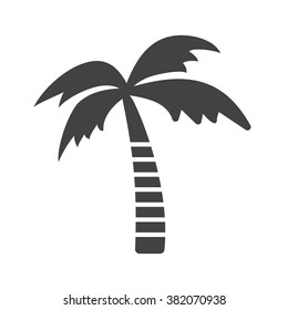 Coconut Tree