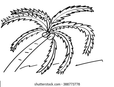 Coconut tree