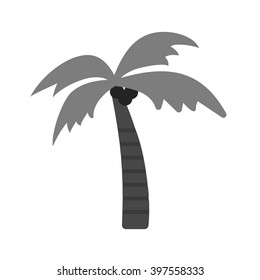 Coconut Tree