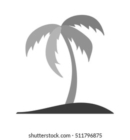 Coconut Tree