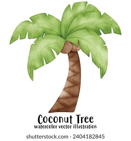 Coconut Tree, Beach, Summer, Vector, illustration, watercolor