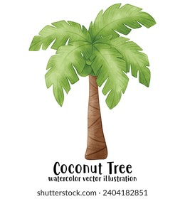 Coconut Tree, Beach, Summer, Vector, illustration, watercolor