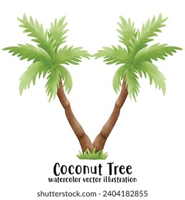 Coconut Tree, Beach, Summer, Vector, illustration, watercolor
