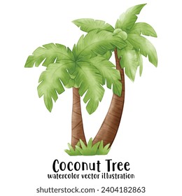 Coconut Tree, Beach, Summer, Vector, illustration, watercolor